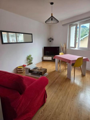 Appartement vue sur château fort de Lourdes